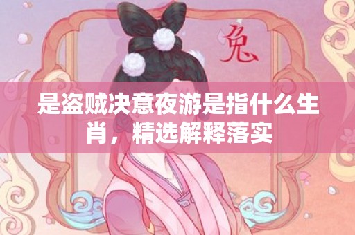 是盗贼决意夜游是指什么生肖，精选解释落实