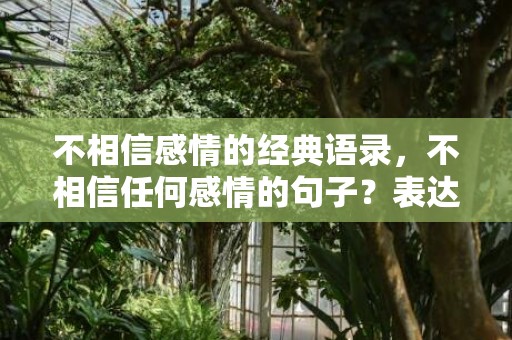 不相信感情的经典语录，不相信任何感情的句子？表达不信任的经典句子