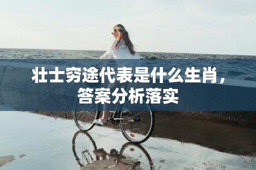 壮士穷途代表是什么生肖，答案分析落实