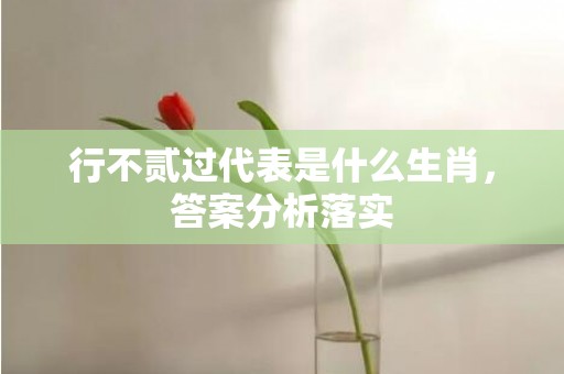 行不贰过代表是什么生肖，答案分析落实