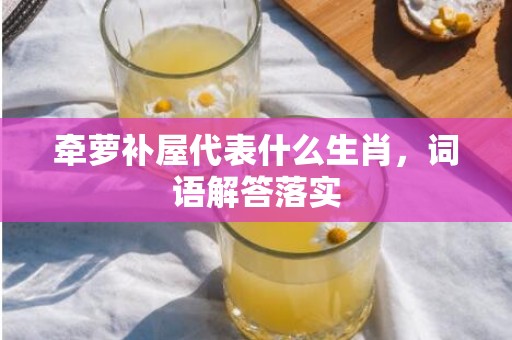 牵萝补屋代表什么生肖，词语解答落实