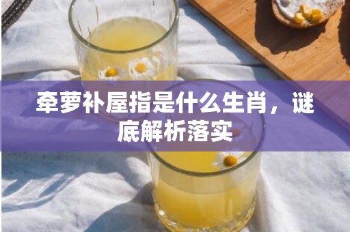 牵萝补屋指是什么生肖，谜底解析落实