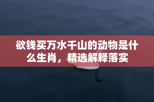 欲钱买万水千山的动物是什么生肖，精选解释落实