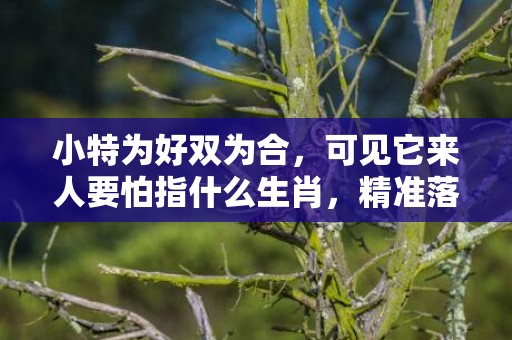 小特为好双为合，可见它来人要怕指什么生肖，精准落实