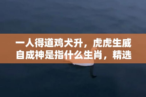 一人得道鸡犬升，虎虎生威自成神是指什么生肖，精选成语落实