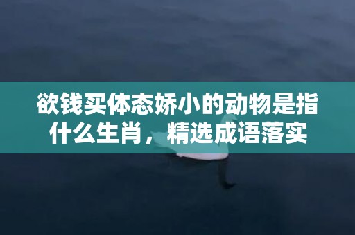 欲钱买体态娇小的动物是指什么生肖，精选成语落实