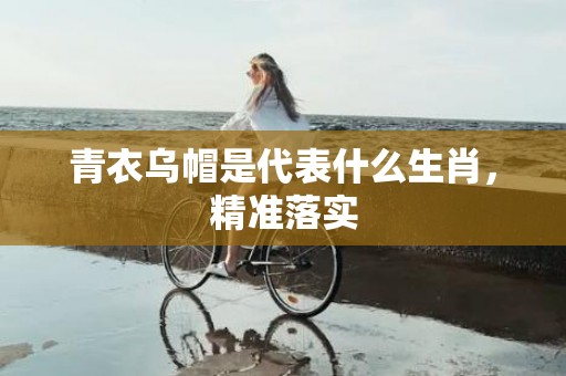 青衣乌帽是代表什么生肖，精准落实