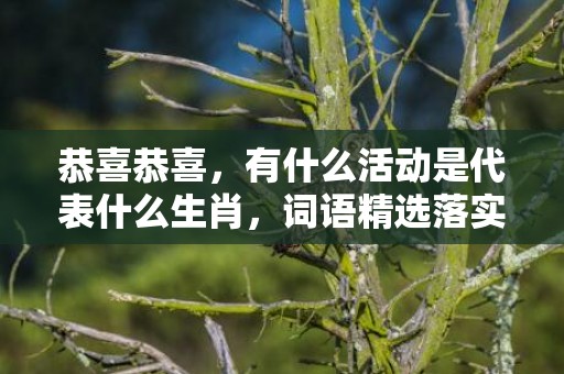 恭喜恭喜，有什么活动是代表什么生肖，词语精选落实