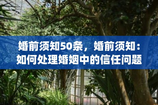 婚前须知50条，婚前须知：如何处理婚姻中的信任问题(婚姻中信任的重要性)