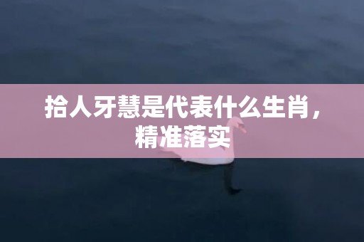 拾人牙慧是代表什么生肖，精准落实