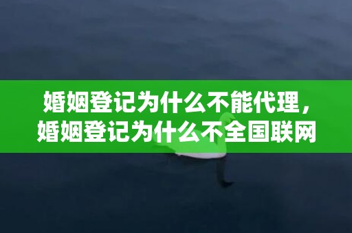 婚姻登记为什么不能代理，婚姻登记为什么不全国联网，婚姻系统全国联网了吗