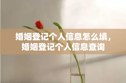 婚姻登记个人信息怎么填，婚姻登记个人信息查询