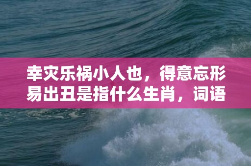 幸灾乐祸小人也，得意忘形易出丑是指什么生肖，词语解释落实