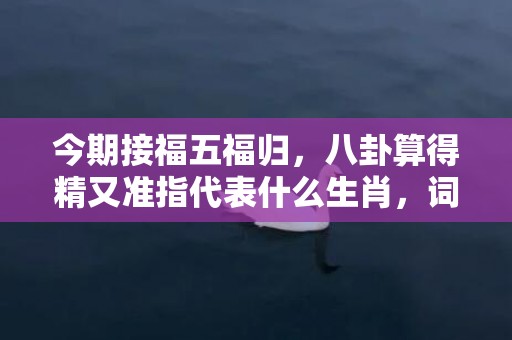 今期接福五福归，八卦算得精又准指代表什么生肖，词语精选落实