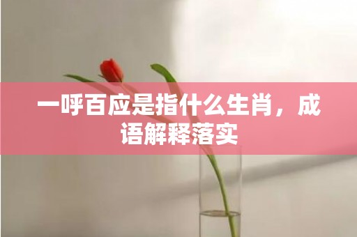 一呼百应是指什么生肖，成语解释落实