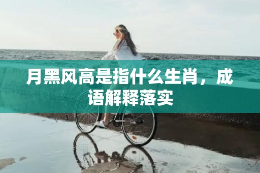 月黑风高是指什么生肖，成语解释落实