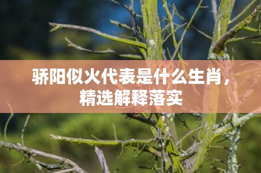 骄阳似火代表是什么生肖，精选解释落实