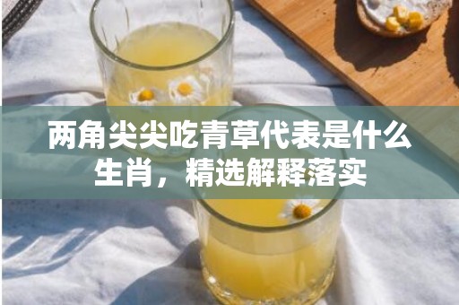 两角尖尖吃青草代表是什么生肖，精选解释落实