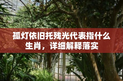 孤灯依旧托残光代表指什么生肖，详细解释落实