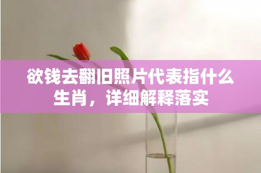 欲钱去翻旧照片代表指什么生肖，详细解释落实