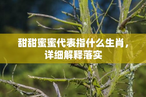 甜甜蜜蜜代表指什么生肖，详细解释落实