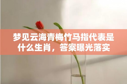 梦见云海青梅竹马指代表是什么生肖，答案曝光落实