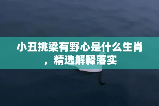 小丑挑梁有野心是什么生肖，精选解释落实