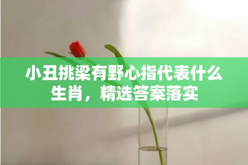 小丑挑梁有野心指代表什么生肖，精选答案落实