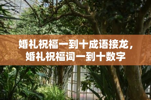 婚礼祝福一到十成语接龙，婚礼祝福词一到十数字