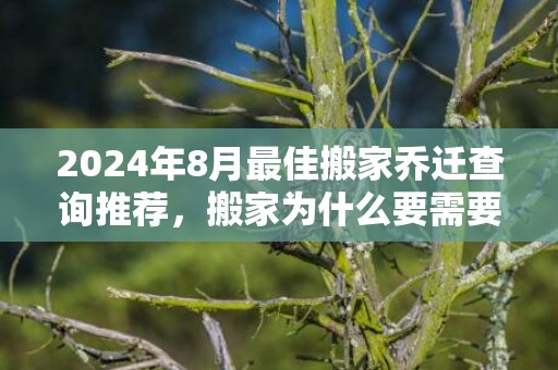 2024年8月最佳搬家乔迁查询推荐，搬家为什么要需要择吉日