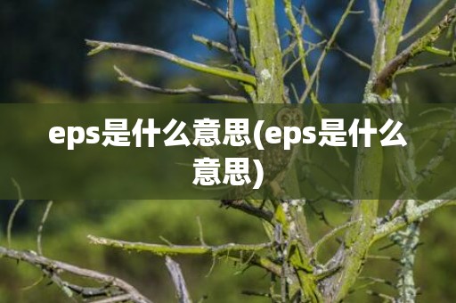 eps是什么意思(eps是什么意思)