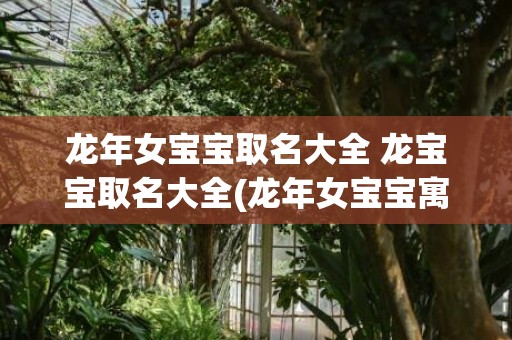 龙年女宝宝取名大全 龙宝宝取名大全(龙年女宝宝寓意好名字)