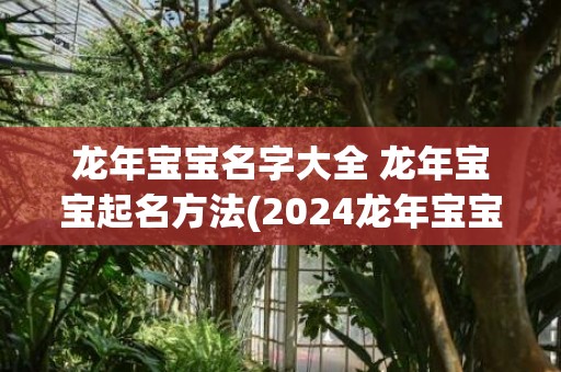 龙年宝宝名字大全 龙年宝宝起名方法(2024龙年宝宝名字大全)