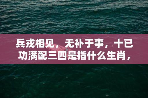 兵戎相见，无补于事，十已功满配三四是指什么生肖，精选解释落实