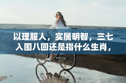 以理服人，实属明智，三七入围八回还是指什么生肖，精选解释落实