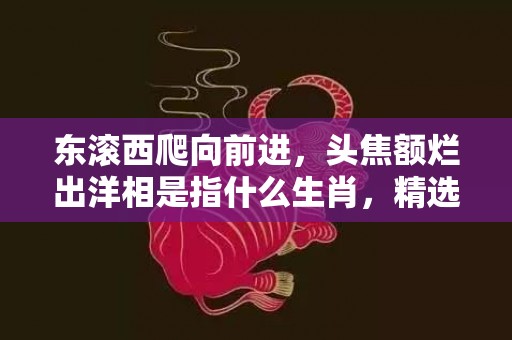 东滚西爬向前进，头焦额烂出洋相是指什么生肖，精选解释落实