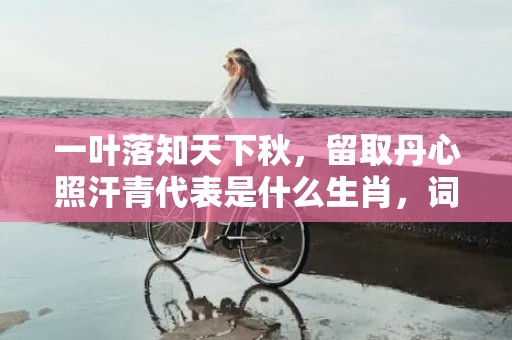 一叶落知天下秋，留取丹心照汗青代表是什么生肖，词语解答落实