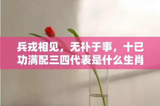 兵戎相见，无补于事，十已功满配三四代表是什么生肖，词语解答落实