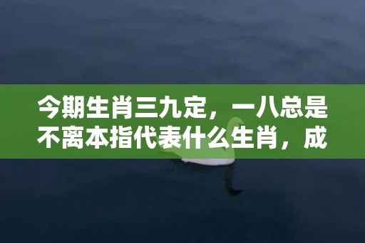 今期生肖三九定，一八总是不离本指代表什么生肖，成语解释落实