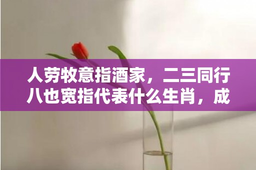 人劳牧意指酒家，二三同行八也宽指代表什么生肖，成语解释落实