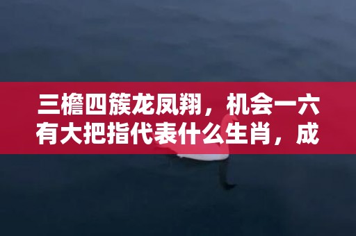 三檐四簇龙凤翔，机会一六有大把指代表什么生肖，成语解释落实