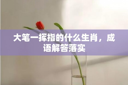 大笔一挥指的什么生肖，成语解答落实