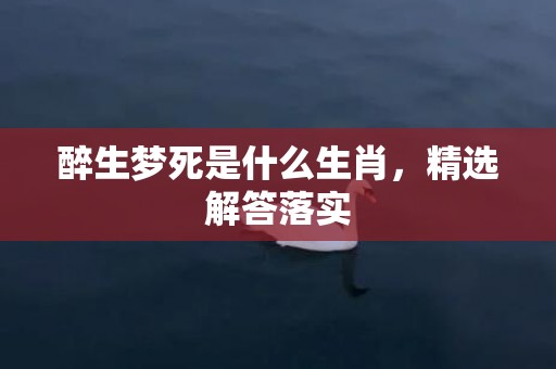 醉生梦死是什么生肖，精选解答落实