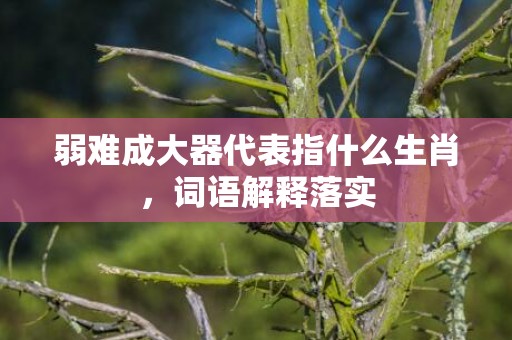 弱难成大器代表指什么生肖，词语解释落实