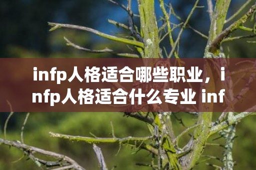 infp人格适合哪些职业，infp人格适合什么专业 infp女长相典型