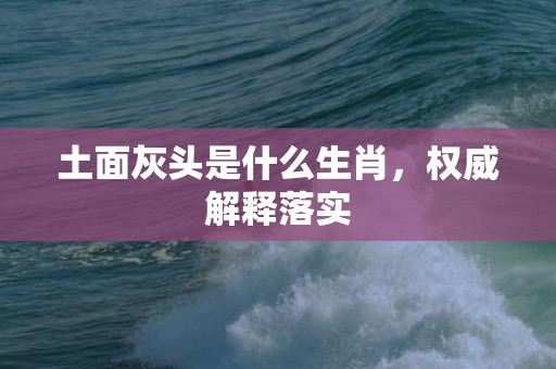 土面灰头是什么生肖，权威解释落实