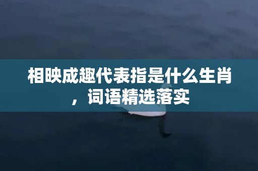 相映成趣代表指是什么生肖，词语精选落实