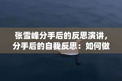 张雪峰分手后的反思演讲，分手后的自我反思：如何做好总结和反思(几年爱情分手后总结)