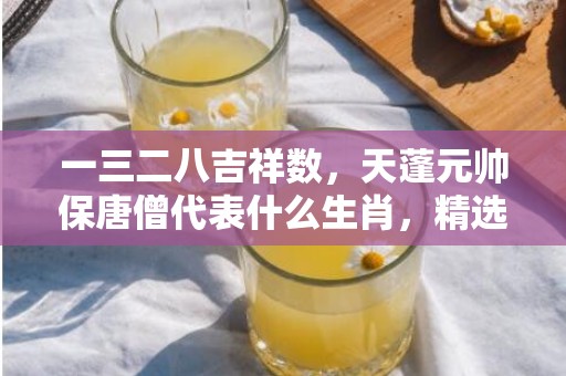 一三二八吉祥数，天蓬元帅保唐僧代表什么生肖，精选作答落实