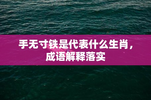 手无寸铁是代表什么生肖，成语解释落实